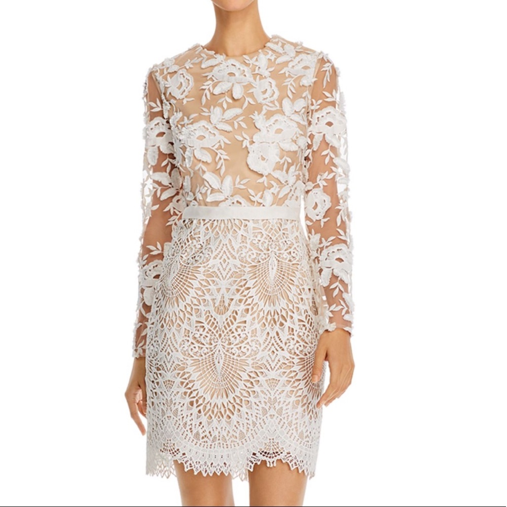ML Monique Lhuillier Calypso Floral Lace Dress